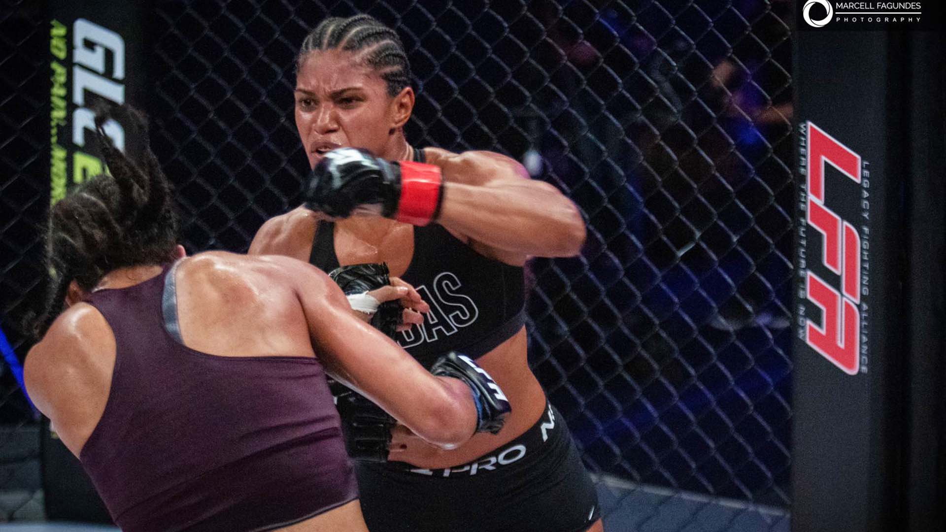 Dynho Alves, Fighter Page