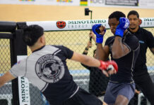 Fight Week Brasil celebra valores das artes marciais qualificação de professores e oportunidade a novos talentos