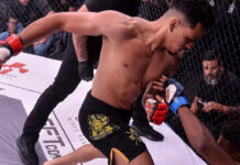 SFT Gladiadores do Futuro garante contratos com novos talentos do MMA